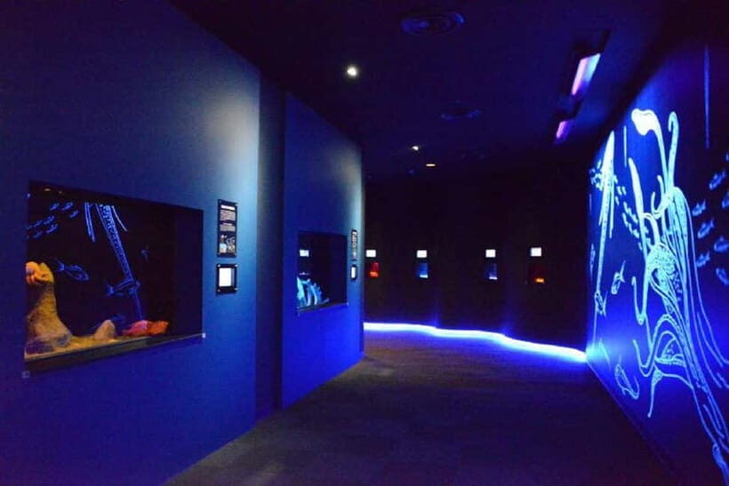 Kagoshima Aquarium Admission Ticket - Practicalities and Tips for Visiting