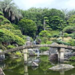 Kagoshima: Volcano & Nature Immersion Private Guided Tour - Geology and Local Resilience