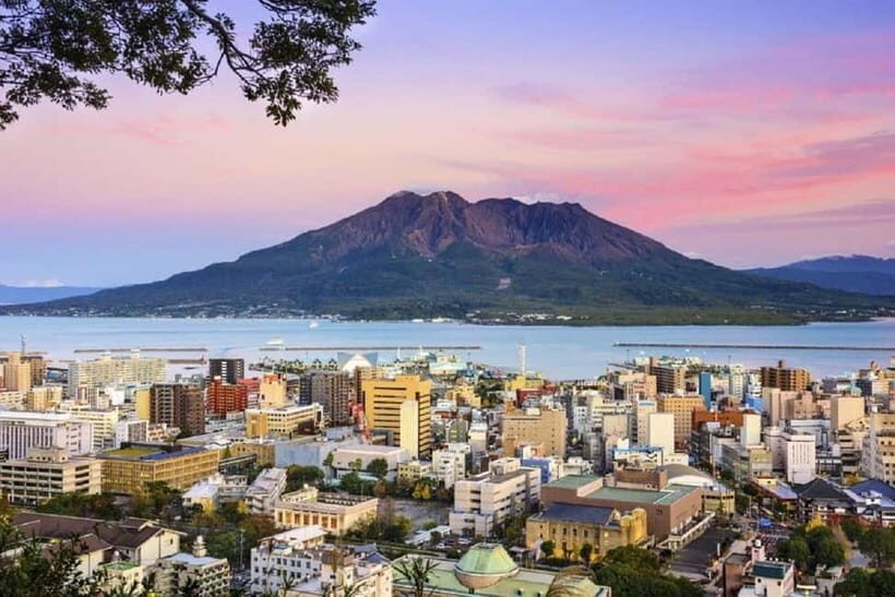 Kagoshima: Volcanos Embrace  Sakurajima View Experience - Who Is This Tour Best For?