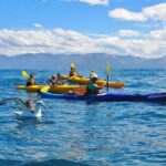 Kaikoura Kayaking Adventure Small Group Tour from Christchurch - Final Thoughts: Is This Tour Worth It?