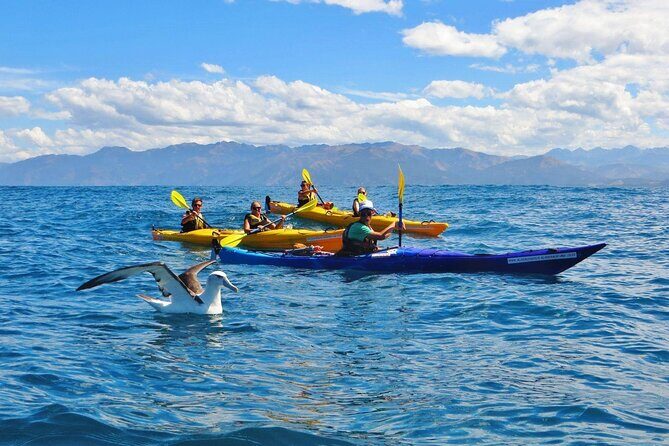 Kaikoura Kayaking Adventure Small Group Tour from Christchurch - Final Thoughts: Is This Tour Worth It?