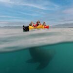 Kaikoura: Private Guided Kayak Tour with Seals - Why This Tour Is Worth Considering