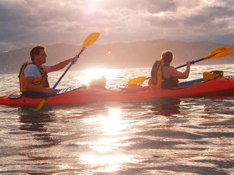 Kaikoura: Sunset Evening Kayaking Tour - What to Expect from the Tour