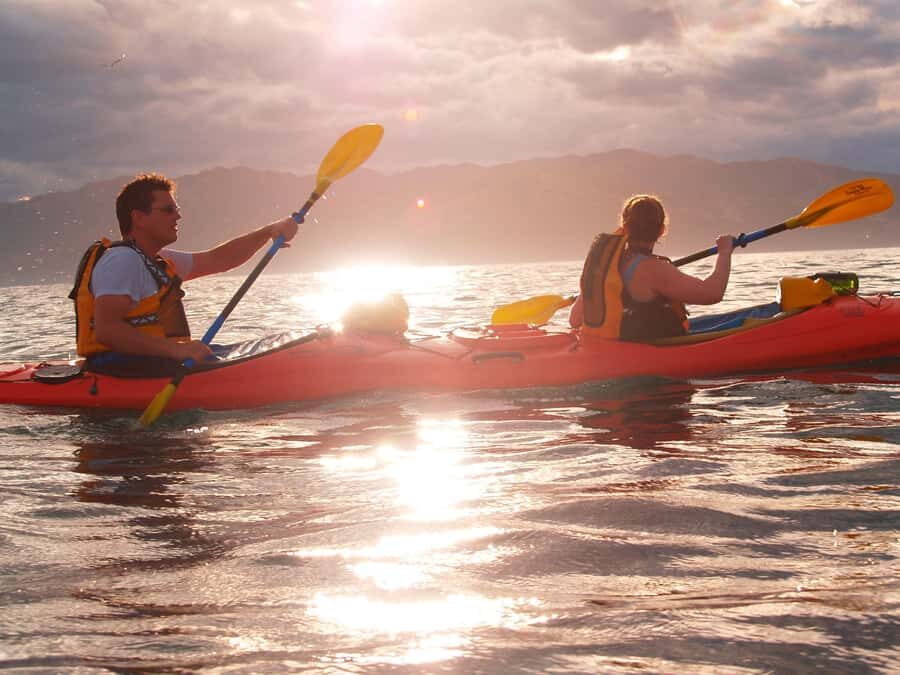 Kaikoura: Sunset Evening Kayaking Tour - What to Expect from the Tour