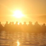 Kaikura: Kayak Sunset Tour with Seal Sightings - Who Will Love This Tour?