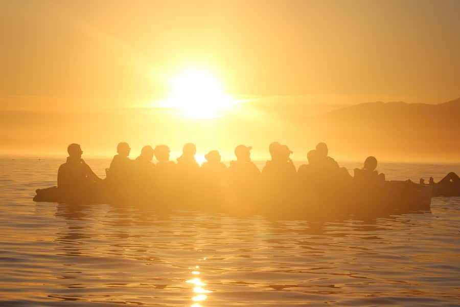 Kaikura: Kayak Sunset Tour with Seal Sightings - Who Will Love This Tour?