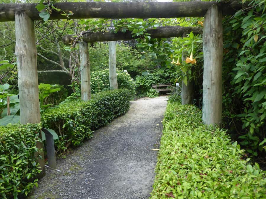 Kaipara Coast Sculpture Gardens Entry Ticket - In-Depth Look at the Experience