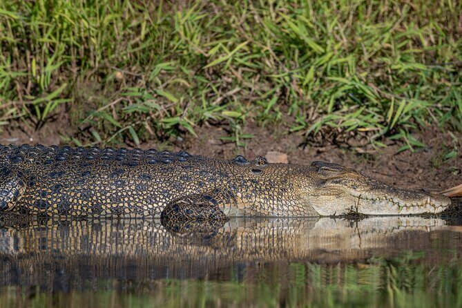 Kakadu National Park Evening Tour + Yellow Water Sunset Cruise - The Long Journey Back to Darwin