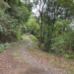 Kakani Sunrise Overnight: Himalayan Escape from Kathmandu - Rising with the Mountains: Sunrise and Morning Walk