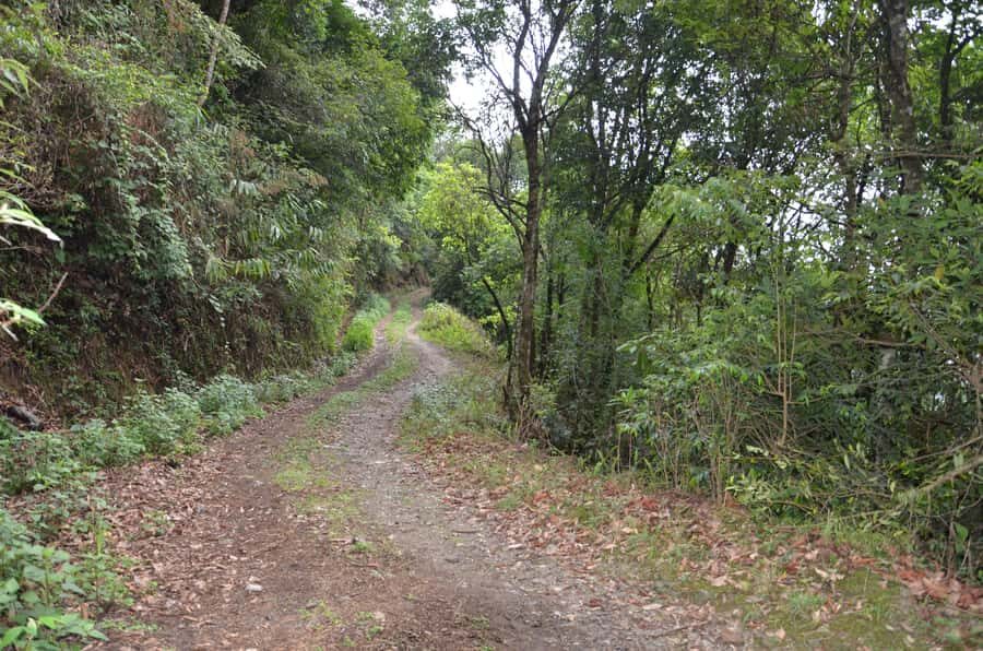 Kakani Sunrise Overnight: Himalayan Escape from Kathmandu - Rising with the Mountains: Sunrise and Morning Walk
