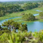 Kalametiya: Bird Sanctuary Catamaran Bird Watching Tour - What to Expect from the Kalametiya Bird Sanctuary Tour