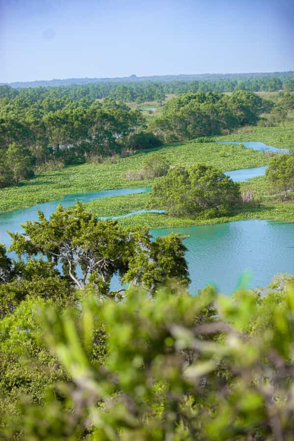 Kalametiya: Bird Sanctuary Catamaran Bird Watching Tour - What to Expect from the Kalametiya Bird Sanctuary Tour