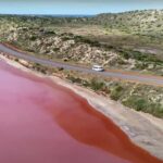 Kalbarri: Pink Lake and Coastal Cliffs Tour - A Closer Look at the Tour Experience