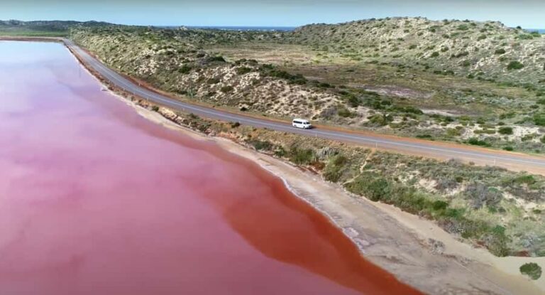 Kalbarri: Pink Lake and Coastal Cliffs Tour - A Closer Look at the Tour Experience