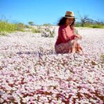 Kalbarri Wildflower Tour with Local Guide - Why This Tour is Worth Considering