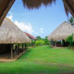 Kalinago Barana Aute Cultural Excursion - In-Depth Review: The Details That Matter