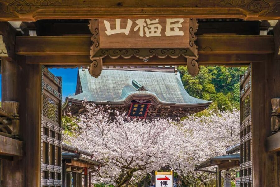 Kamakura: A Journey Through Medieval Japan - Culinary Delights and Cultural Insights