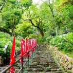 Kamakura and Enoshima Private Tour with English Speaking Driver - Practical Details and Value