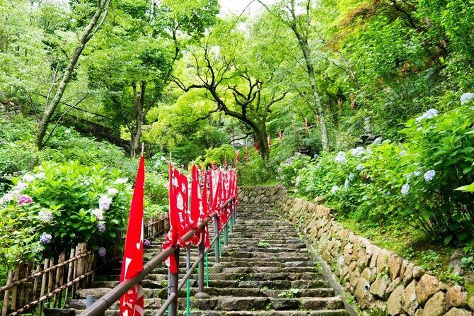 Kamakura and Enoshima Private Tour with English Speaking Driver - Practical Details and Value