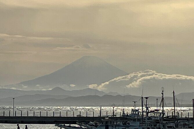 Kamakura and Enoshima walking tour - Who is this tour best for?