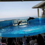 Kamakura: Anime Pilgrimage Tour with Local Guide - Starting Point and Meeting Logistics