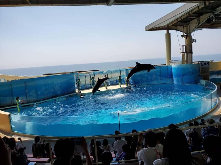 Kamakura: Anime Pilgrimage Tour with Local Guide - Starting Point and Meeting Logistics