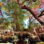 Kamakura: Customized 1-Day Tour with Prossional Guide - FAQ