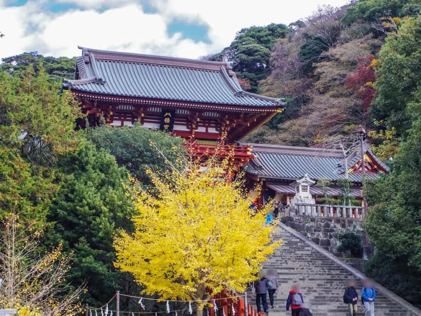 Kamakura: Customized Half-Day Tour with Professional Guide - Real Experiences from Travelers