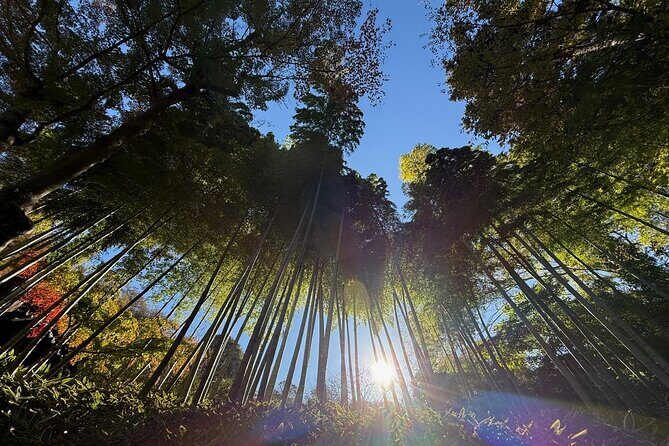 Kamakura Day Trip from Tokyo: Private Guided Walking Tour - Ending with Ease in Shibuya