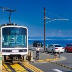 Kamakura Full Day Walking Tour with Local Expert Guide and Pickup - An In-Depth Look at the Kamakura Full-Day Tour