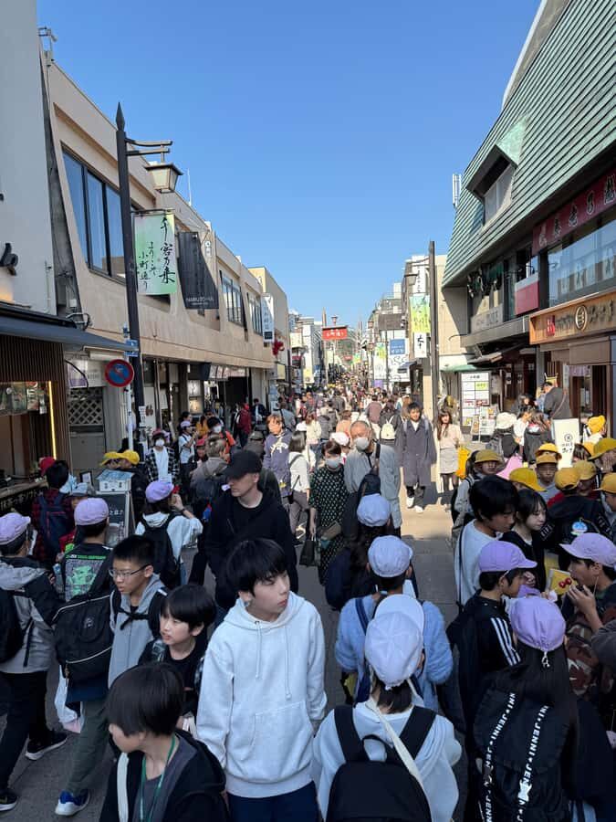 Kamakura Guided Tour with a 5 STAR Tour Guide - What Sets This Tour Apart?