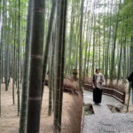 Kamakura Hidden Gems and Sacred Sites Private Tour - Who Is This Tour Best For?