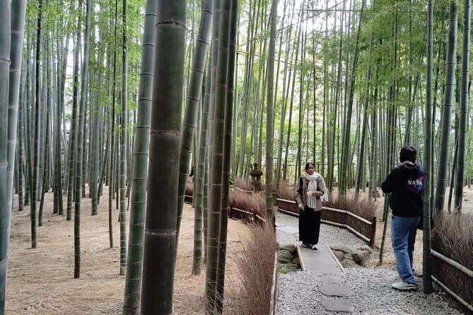 Kamakura Hidden Gems and Sacred Sites Private Tour - Who Is This Tour Best For?