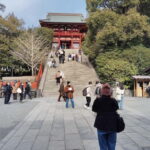 Kamakura: Tsurugaoka Hachimangu & Komachi Street Tour - Practical Details and Value