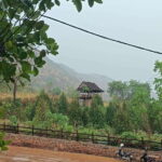 Kampot: Full-day Countryside Tour with Pepper Farm and Kep - Frequently Asked Questions (FAQs)