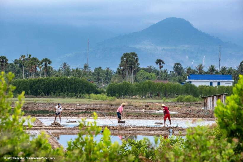 Kampot: Salt Fields, Pepper Farm, and Secret Lake Tour - Analyzing the Value