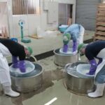 Kanagawa : Koganei Brewery Sake Tasting - An In-Depth Look at the Koganei Brewery Sake Tasting Tour