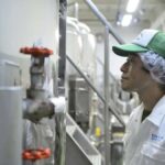 Kanagawa : Koganei Brewery Sake Tasting - The Experience in Detail