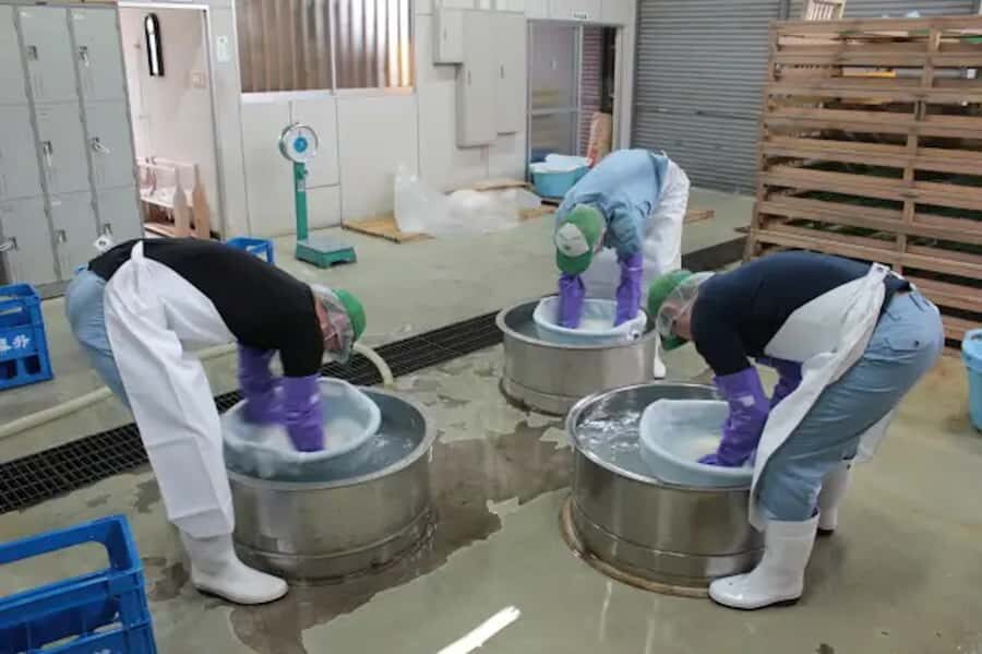 Kanagawa : Koganei Brewery Sake Tasting - An In-Depth Look at the Koganei Brewery Sake Tasting Tour