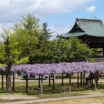 Kanazawa Tonami Tulips and UNESCO Gokayama - Final Thoughts