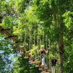 Kanchanaburi: Tree Top Zipline and Adventure Course - The Experience Breakdown