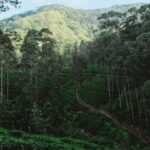 Kandy: Bike Rental with Helmet, Water, and Route Map - How the Experience Adds Value