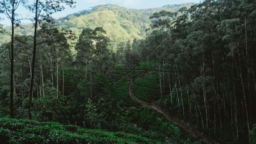 Kandy: Bike Rental with Helmet, Water, and Route Map - How the Experience Adds Value