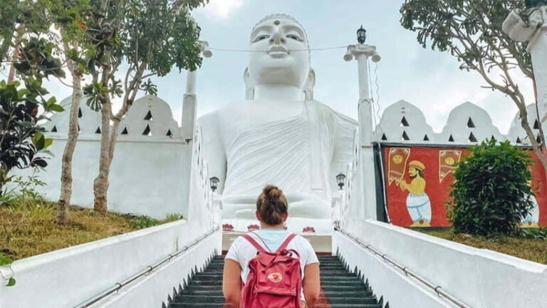 Kandy City Explore Tour Morning/Evenening Private Tour - Who Should Book This Tour?