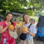 Kandy City Full Day Private Tour by Air Condition Taxi - Hotel Pickup and Drop-Off – Start and End with Convenience