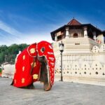 Kandy City Tour - Detailed Breakdown of the Itinerary