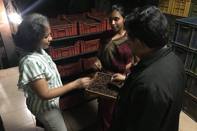 Kandy City tour and site visits - Why This Tour Works Well