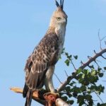 Kandy City Tour by Lux Tours Lanka - Who Will Love This Tour?