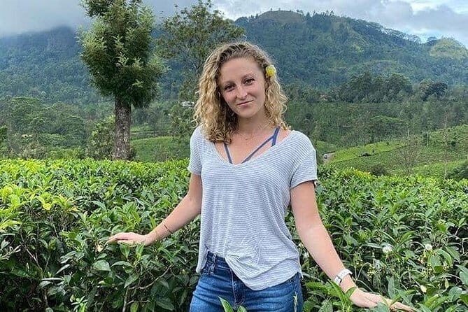 Kandy city tour by Tuk Tuk - Exploring the Giragama Tea Factory