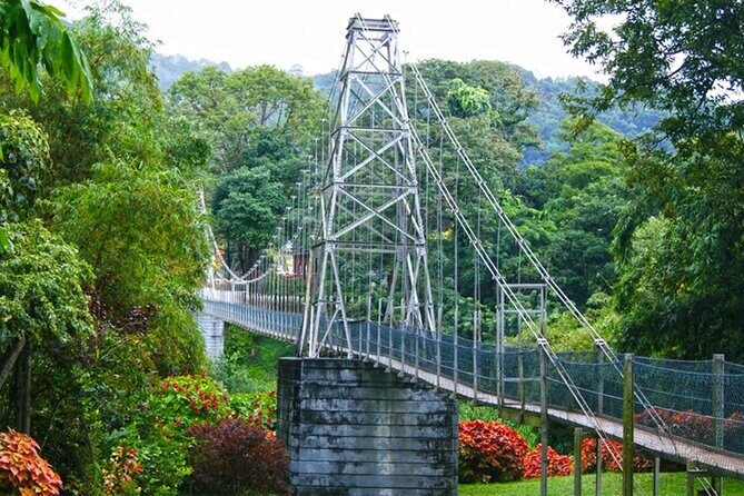 Kandy Day Tour from Galle - Authentic Experiences and Hidden Details